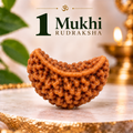 1 Mukhi (Ek Mukhi) Rudraksha