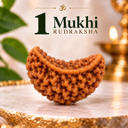 1 Mukhi (Ek Mukhi) Rudraksha